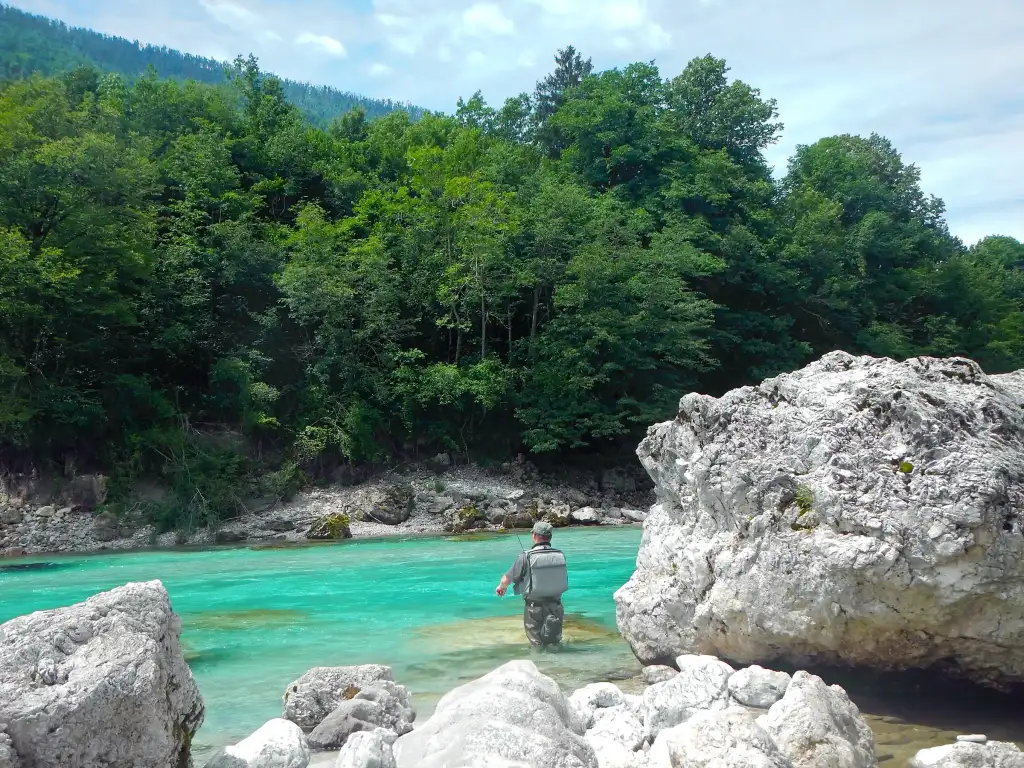 Visser langs de Soča rivier in Slovenië 